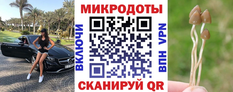 Галлюциногенные грибы ЛСД  МЕГА ССЫЛКА  Томилино  магазин продажи наркотиков 